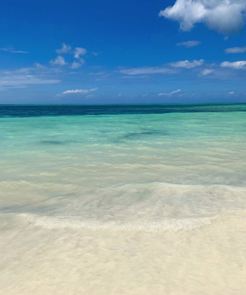 Kiwengwa beach with palm trees and white sand, Zanzibar