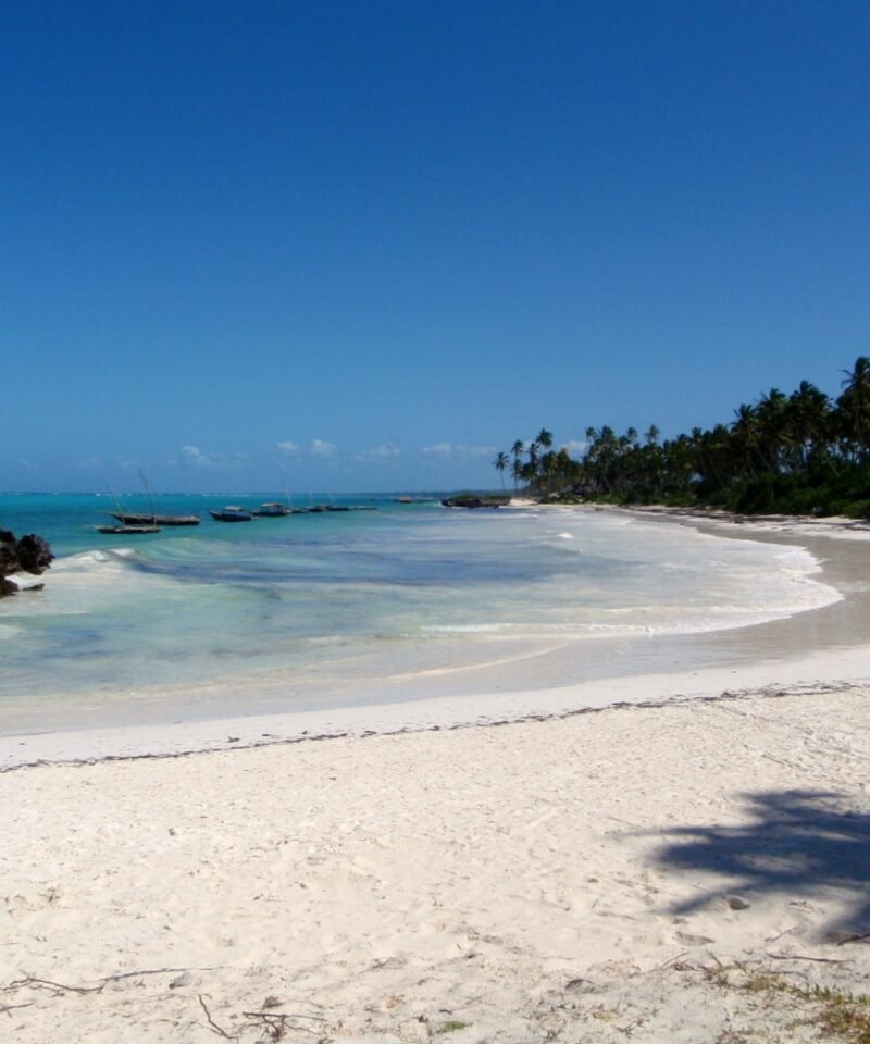Matemwe beach with traditional dhow boats, Zanzibar
