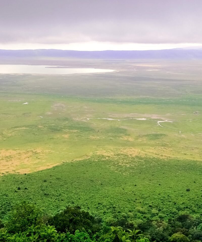 Aerial view of the Ngorongoro Crater, Tanzania
