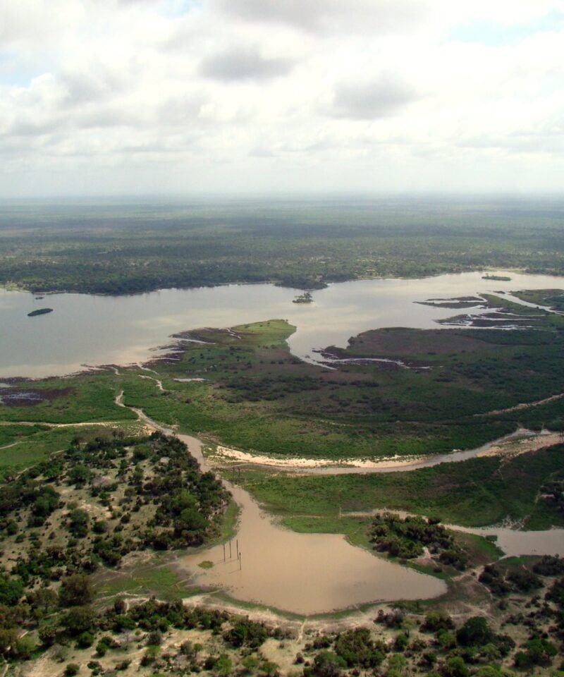 Wildlife and landscape of Nyerere National Park, Tanzania