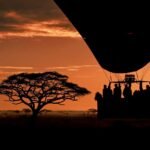 Hot air balloon flying over the Serengeti plains at sunrise
