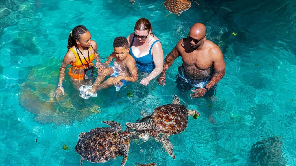 Family tour with sea turtles