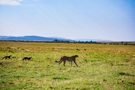 ngorongoro-crater