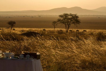 tarangire-park