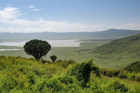 ngorongoro-drone