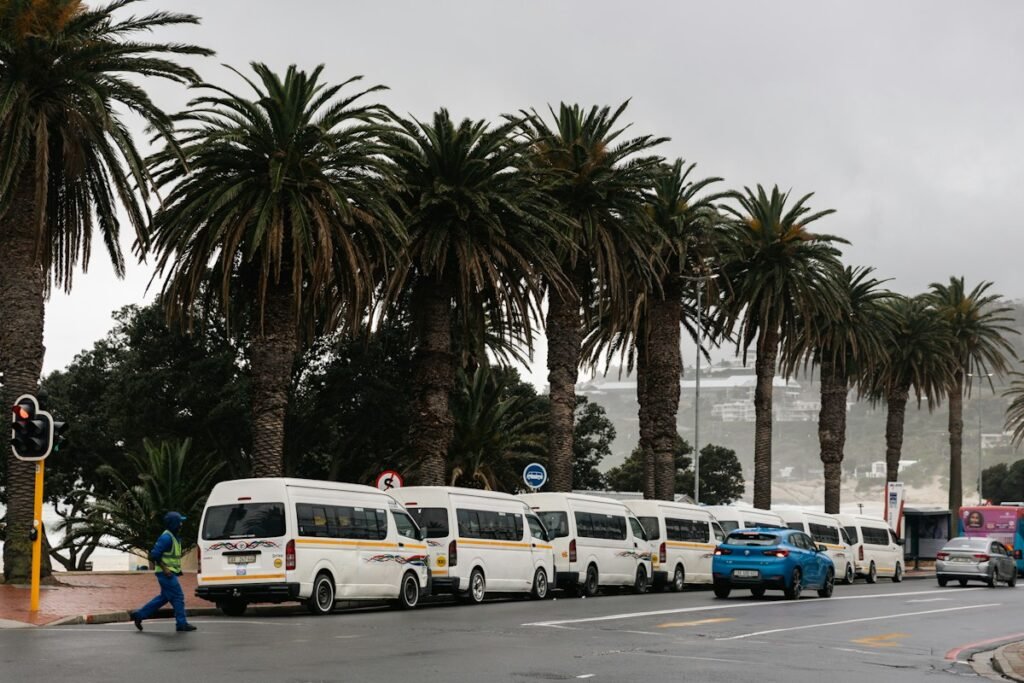 Minibus transfer vehicles parked under palm trees