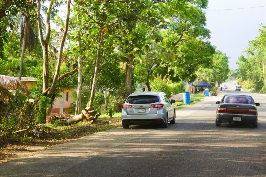 Private sedan transfer vehicle on a tropical road